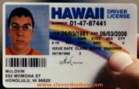 Fake Hawaii driver's license