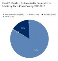 Pie chart indicating the number of children prosecuted as adults